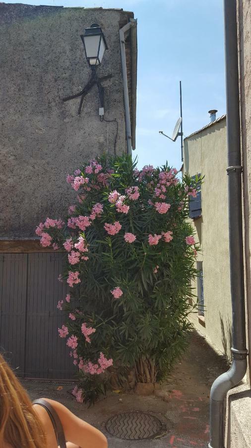 La Petite Chataigne De Collobrieres Villa Eksteriør billede